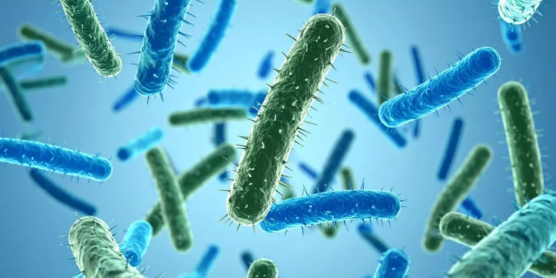 Germs-Close-Up-Importance-of-handwashing.jpg