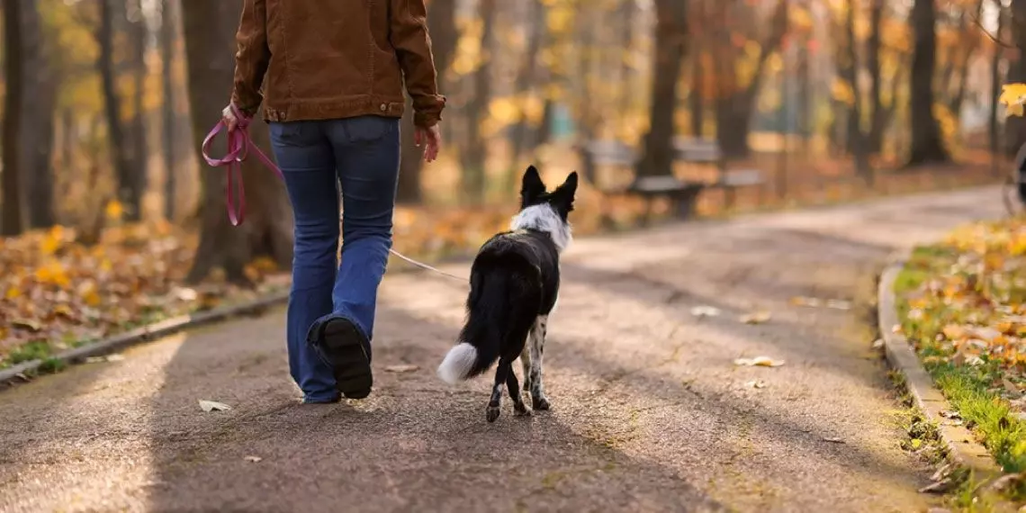 Walking After Meals to Support Blood Pressure