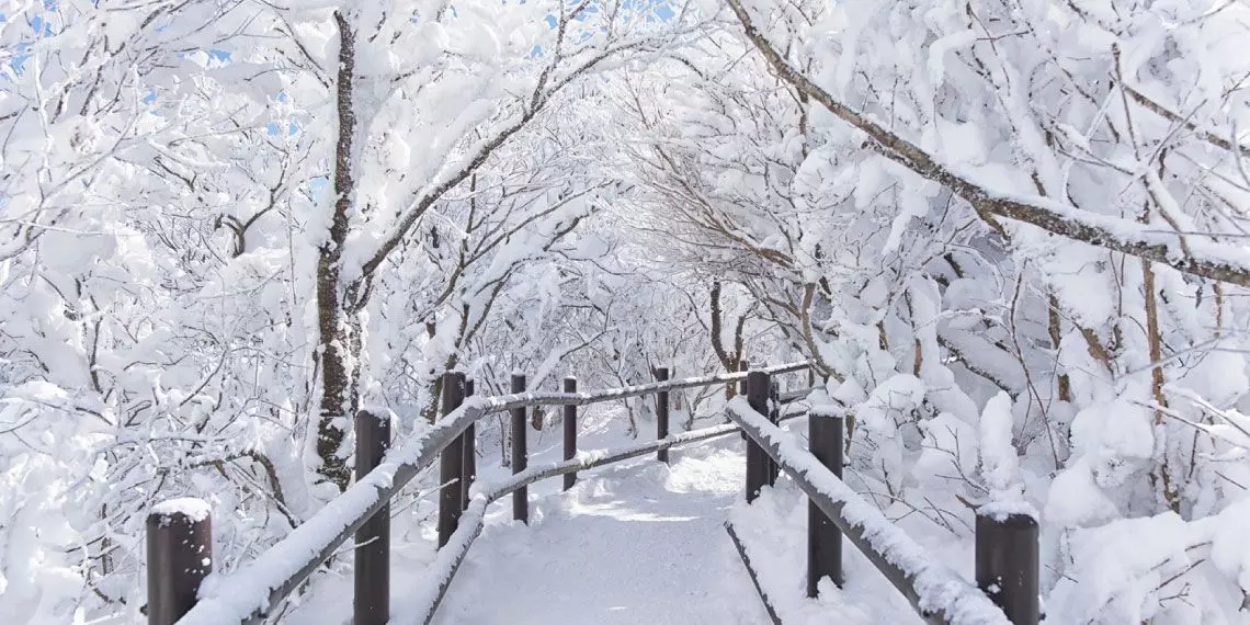 snowy-winter.jpg